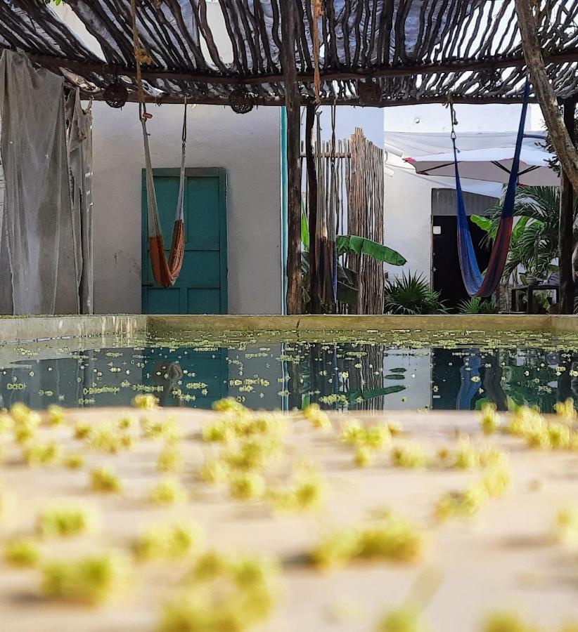 Guaya Hostel Mérida Εξωτερικό φωτογραφία